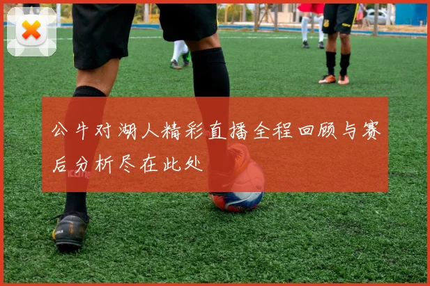 公牛对湖人精彩直播全程回顾与赛后分析尽在此处